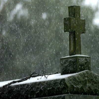 new orleans graveyard picture